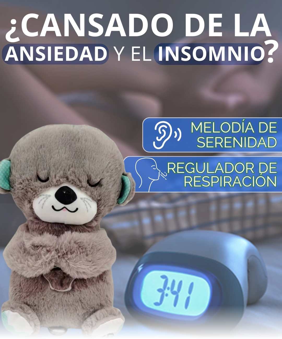 TEDDY TU COMPAÑERO DE DESCANSO